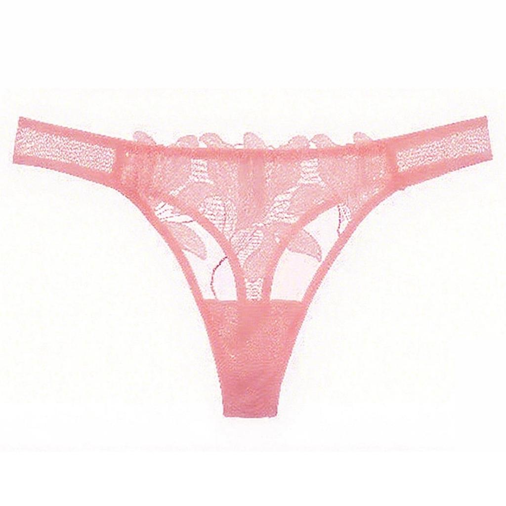 Europäische & Amerikanische Damen Sexy Ultra-Dünne Transparente Spitze Bestickte Hüfttiefe Baumwollslips