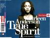 CD CARLEEN ANDERSON True Spirit YRCD118 Ca. 1994 Japan Dance Electronica Gebraucht
