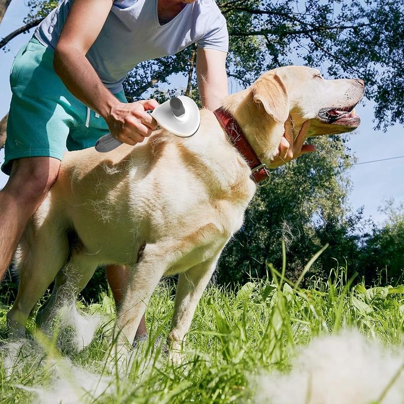 Dog Cat Hair Brush Self-Cleaning Comb