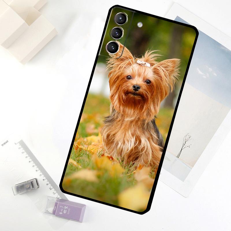 Mini Yorkshire Terrier Phone Case For Samsung Galaxy S20 FE S21 S22 S23 S24 S25 S26 Ultra S10 S25 Plus S25 FE Cover
