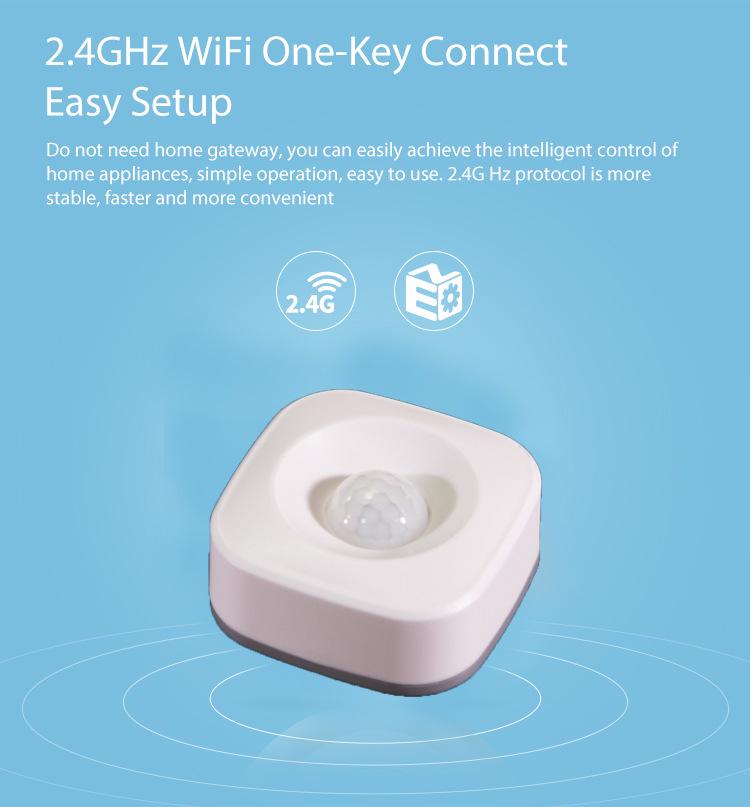 Graffiti Tuya WiFi Infrared Motion Sensor for Alexa