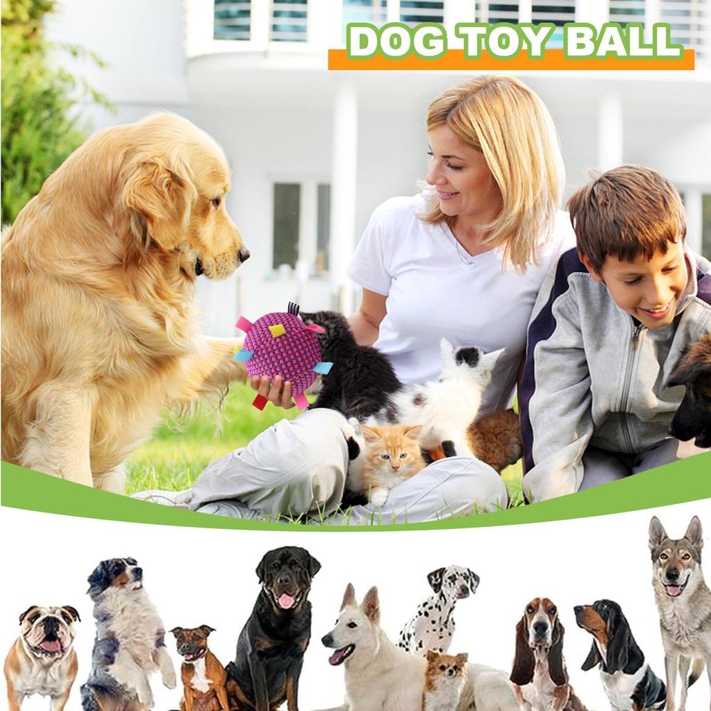 Dog Toy Ball Rolling Ball Dog Toy Soft Squeaky Pet Supplies Game For Kitten Home Outdoor Chewing Training Puppy Indoor Cats