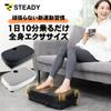 STEADY Vibration Machine Levels of Vibration Quiet Diet Leg Stomach Health Fitness Vibration Core ST147 [99 / / Equipment] Slimming, Slimming,