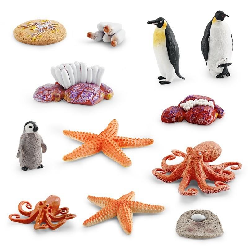 Realistic Ocean Animal Growth Cycle Model Set Featuring Octopus Penguin And Starfish