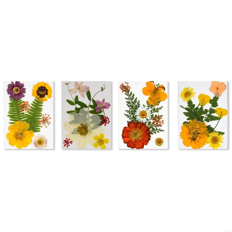 Elegant Natural Pressed Flower 32 Pieces 4 Pack Materials Dried Florals For Resin Art Jewelry Making Projects A0KF