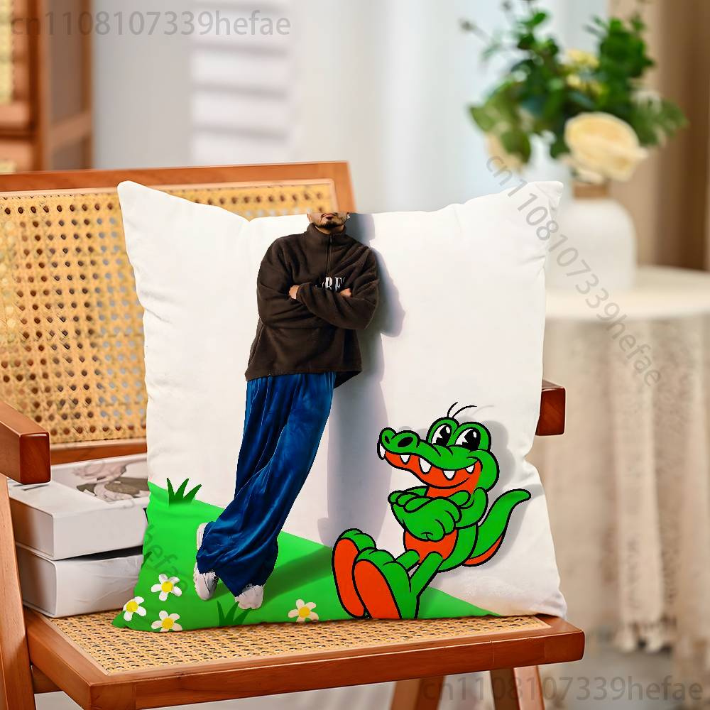 

Singer AAlvaro DDiaz Throw Pillow Case For 45x45cm55x55cm30x30cm For Home Bedroom Decoration And Protector 30x30cm