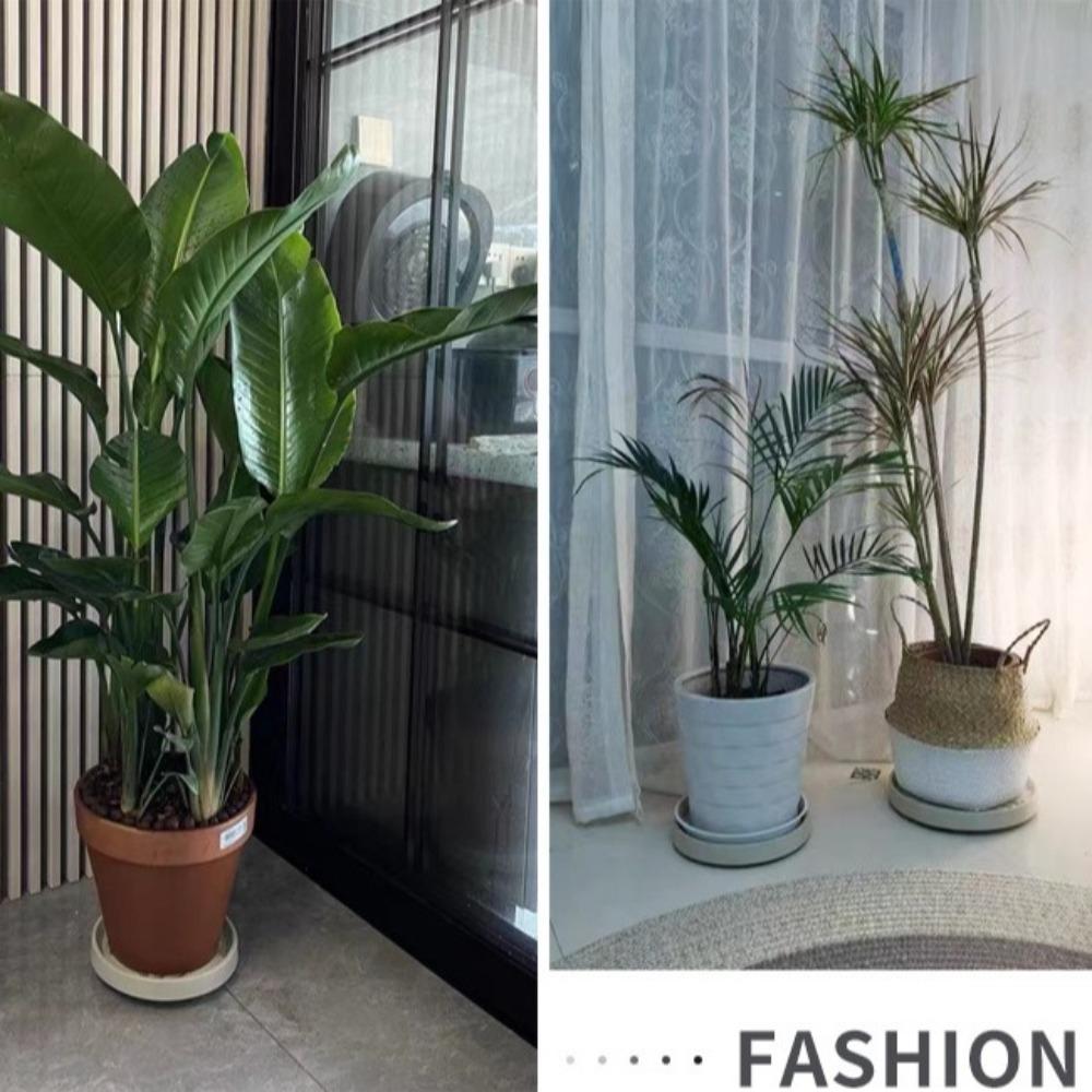 Mobile Flower Pot Stand Trays Plastic Bonsai Plants Trays New Plant Pot Tray  Gardening