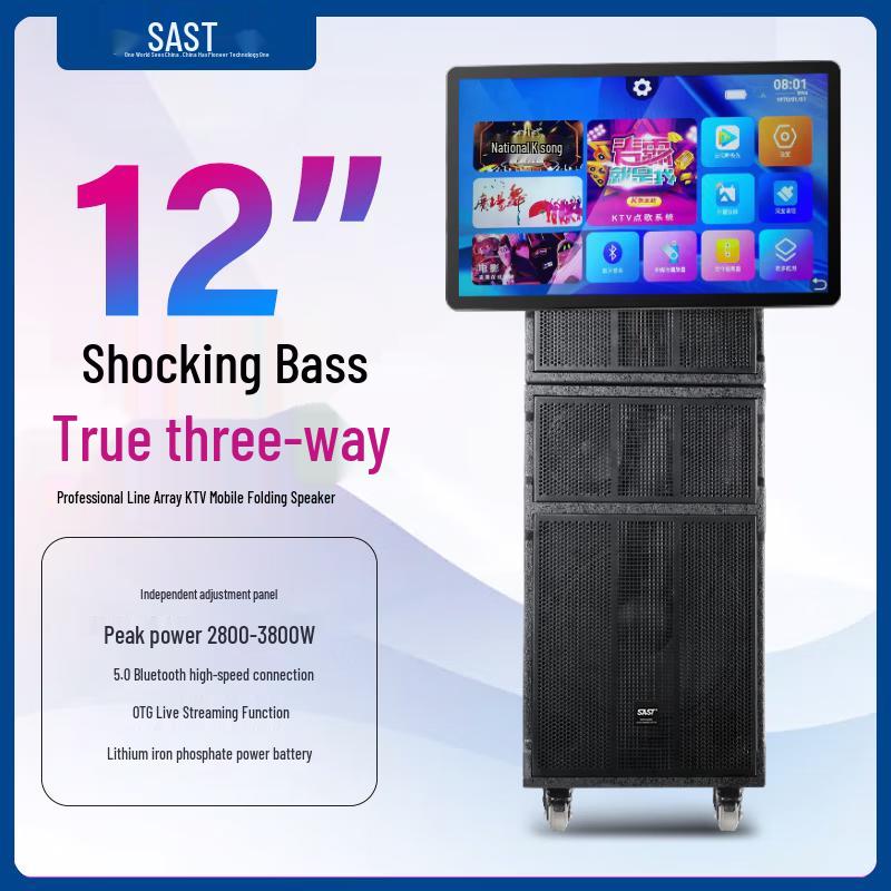 SAST Outdoor Portable Karaoke Speaker with Large Screen CN plug (adapter included) (CN version)