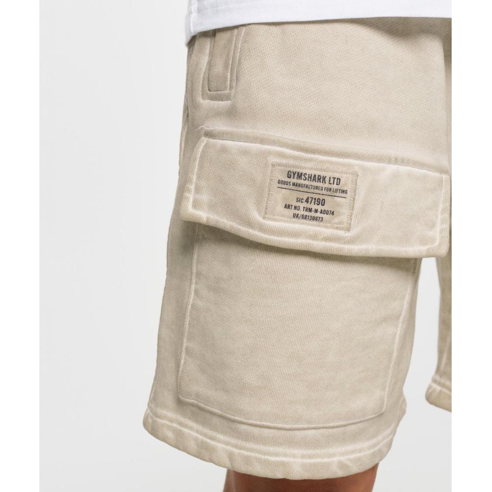 Gymshark Heavyweight Washed Cargo Shorts Pebble Grey A5a6e Gclb.