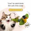 Cat Teaser Toy Interactive Imitation Bird Squeaky Catnip Kitten Toy Hanging Door Cat Feather Toy Accessories
