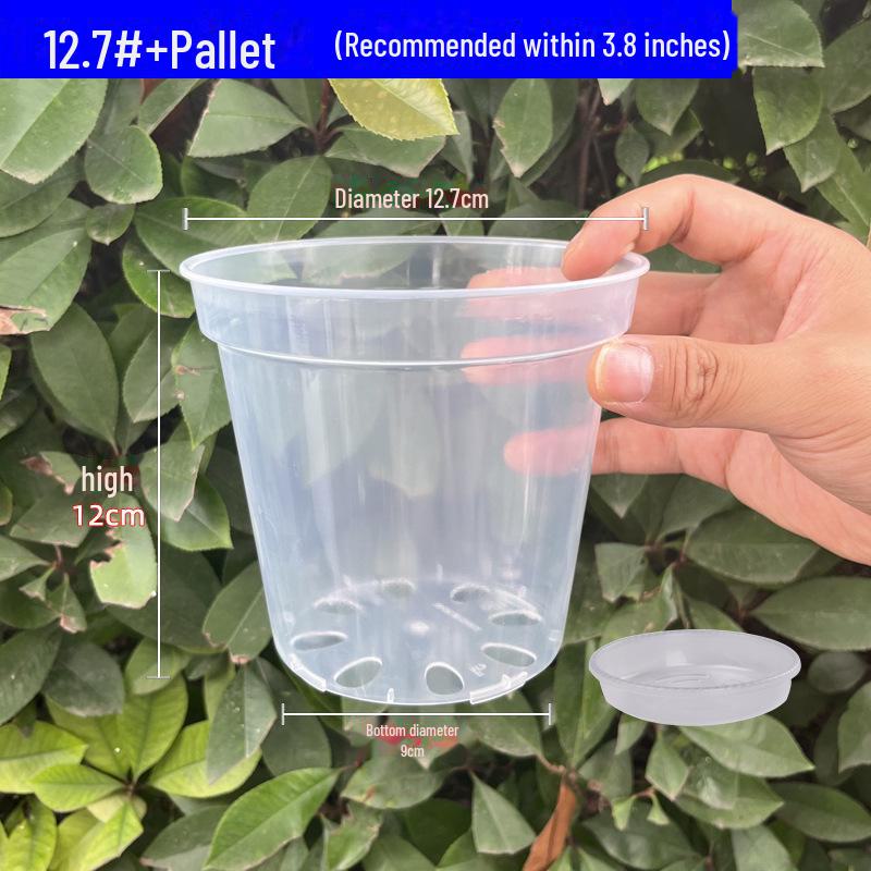 Clear Plastic Orchid Pot: Sphagnum Moss, Square & Round Design for Phalaenopsis or Fish Tanks