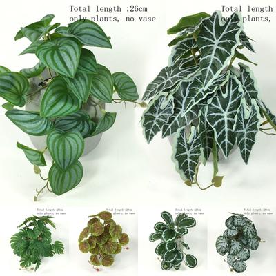 1 Stück Wandhänger Blume Rattan Künstliche Pflanzen Ranke Pfau Schildkrötenpanzerblatt Begonie Gras Reptilien Terrarium Pflanze Heimdeko