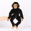 Meet Punch Monkey Plush Toy With Pp Cotton Filling For Kids And Collectors
