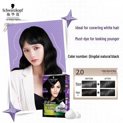 Easy Mousse Plant Hair Dye