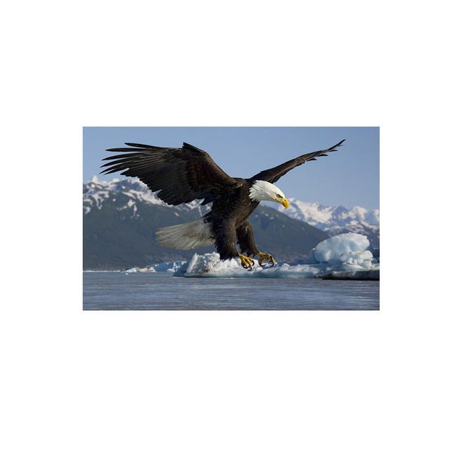 Eagle Flying In The Sky Lerretsmaling Nordic Posters and Prints Wall Art Pictures for Cuadros Living Room Home Decor No Frame