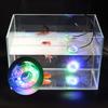 Waterproof Fish Tank Light with Sucker Aquarium Decorative Lamps Practical Aquarium Light  Rockery