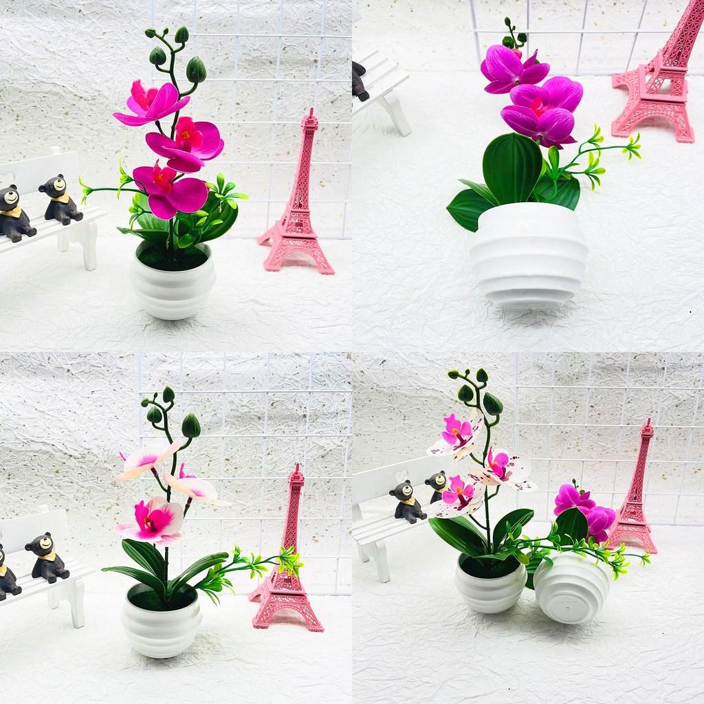 Artificial Orchid Plant Decorative Bonsai With Plastic Material For Home Decor And Gift Display