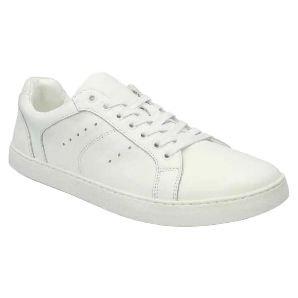 Groundies Sneakers Universe