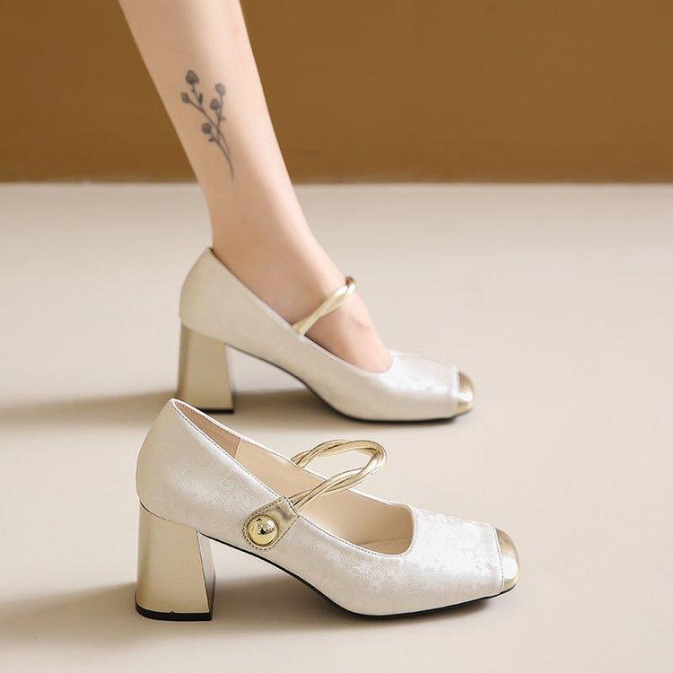 Retro Mary Jane Women's Shoes 2025 New Summer Versatile New Chinese Style Thick Heel Single Shoes with Skirt High Heels
