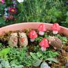 7 bucăți miniatură arici ciuperci sculptură din rășină mini arici și ciuperci figurine zâne furnituri de grădină pentru micro-peisaj de decorare mușchi