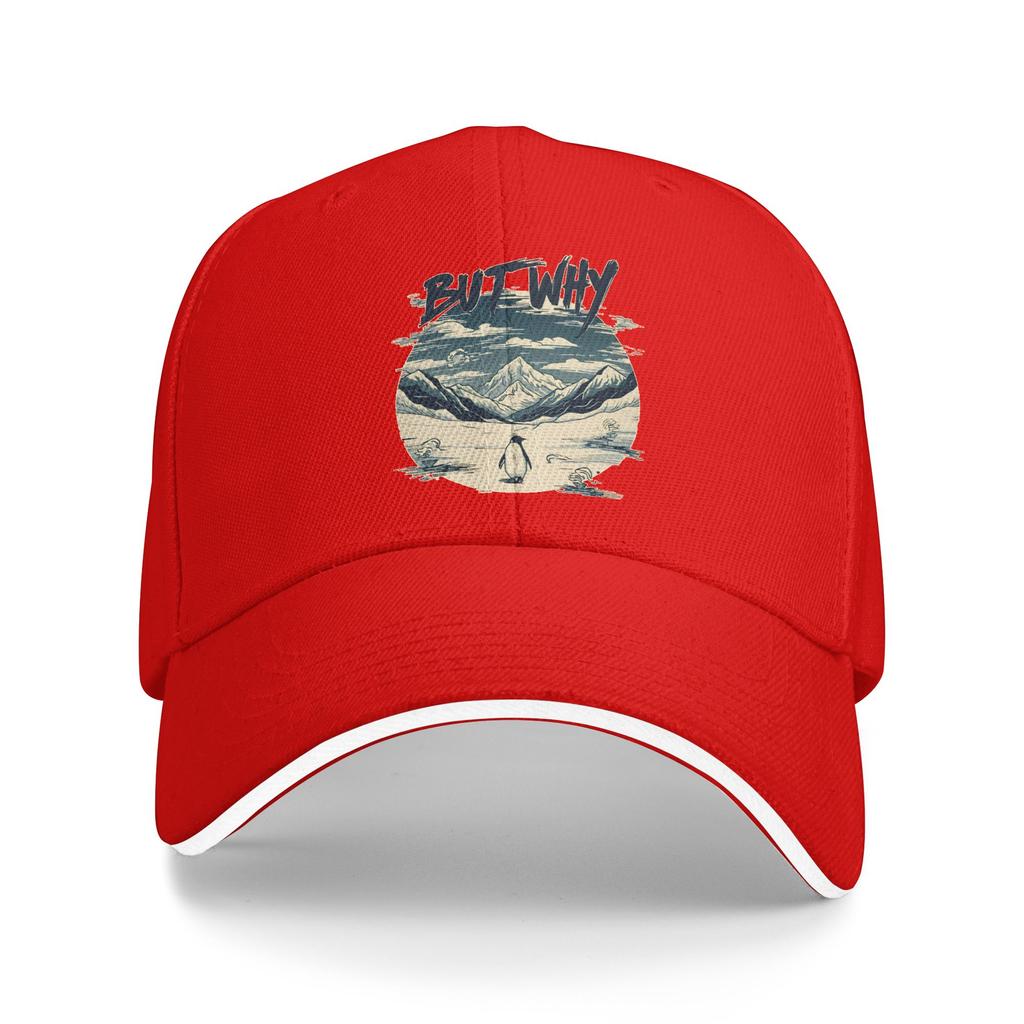 Spring Nihilist Penguin But Why Baseball Cap Outdoor Sports Stylish Design Sun Hip Hop Hats UnisexTeens SunProof Baseball Caps
