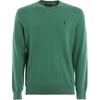 Polo Pony Logo Embroidered Crew Neck Long Sleeve Knit Sweater Men Sweater 710744679-020