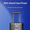Malata M+9797 Portable KTV Trolley Speaker (CN version)
