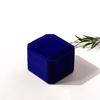 Jewelry Ring Display Case Earring Storage Organizer Portable Square Lid Open Jewelry Earrings Packaging Gift Box