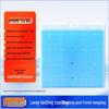 Biopharmaceutical Ice Crystal Pack - No Water Needed, Blue Ice Plate for Cold Chain Insulation