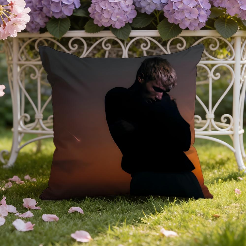 Jeremy singer Z-Zucker Cushion Cover Home & Car Dual-Scene Pillow Cover: Reversible for Premium Comfort