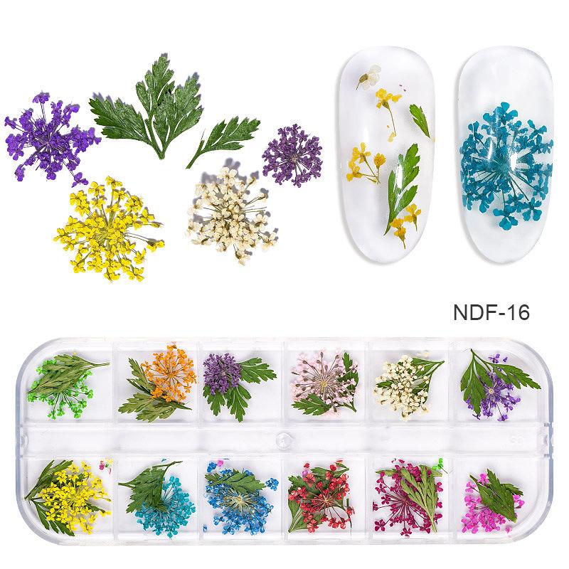 1Box Dried Flowers Dry Plants for Rsein Molds Fillings Epoxy Resin Pendant Tweezers Jewelry Making Craft DIY Nail Art Decoration