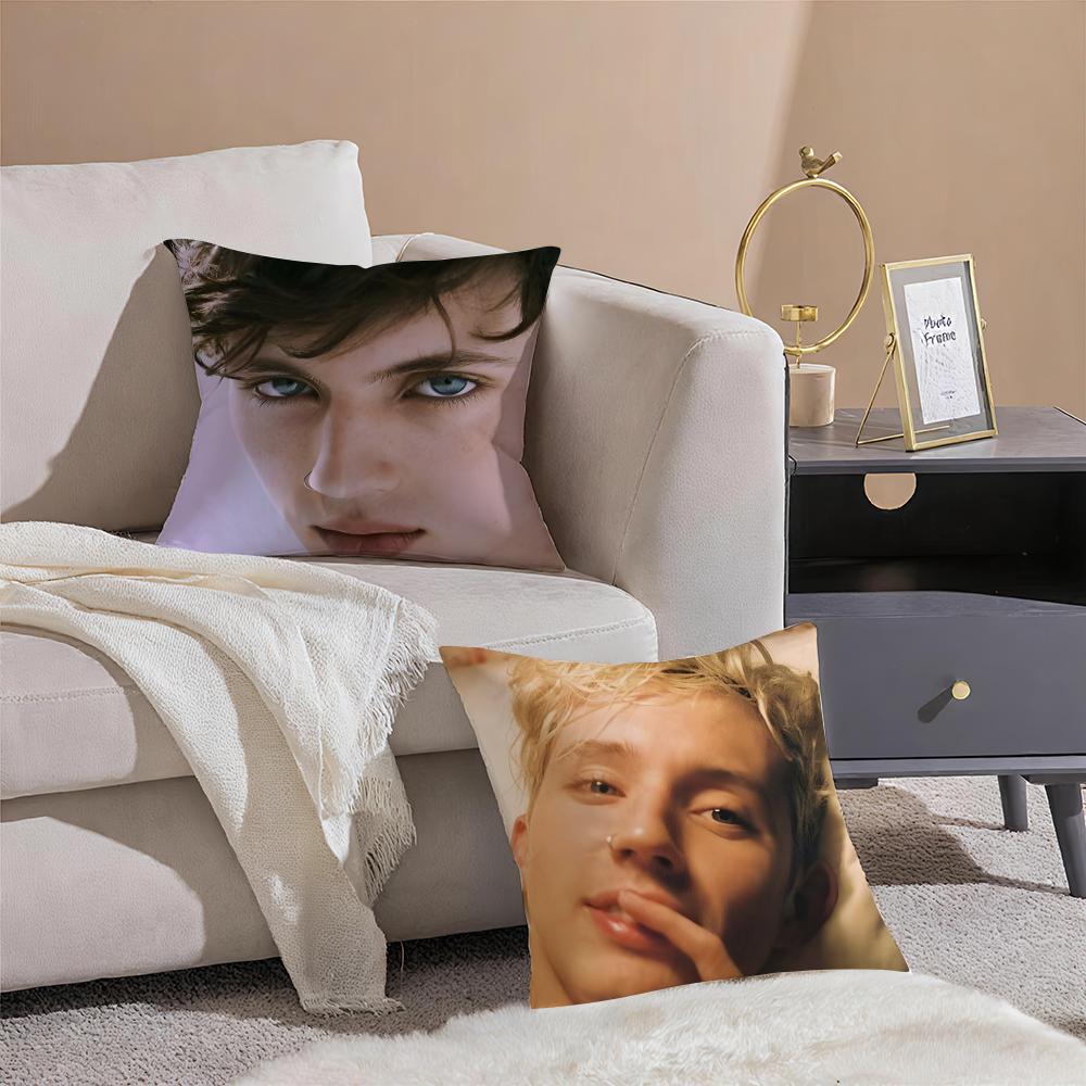 TTroye Sivan Cushion Cover Pillowcase Short Plush Invisible zipper Room Sofa Cushion Cover