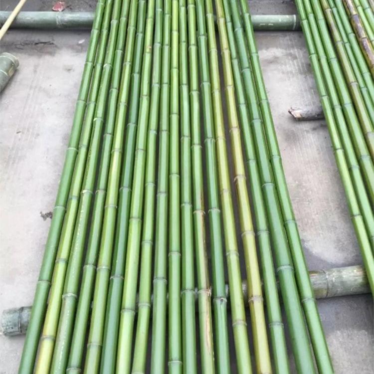 Bamboo Poles: Natural, Thick, and Versatile – Available In 1m To 6m Lengths for Various Uses (Flagpole, Dance, Wedding).