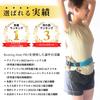TeamOneDay by the Running Mate PRO Marathon Bib Perfect Gift [Supervised World's 5th-Ranked Triathlete] Pouch, Belt, Stretchy, Durable, (Red)