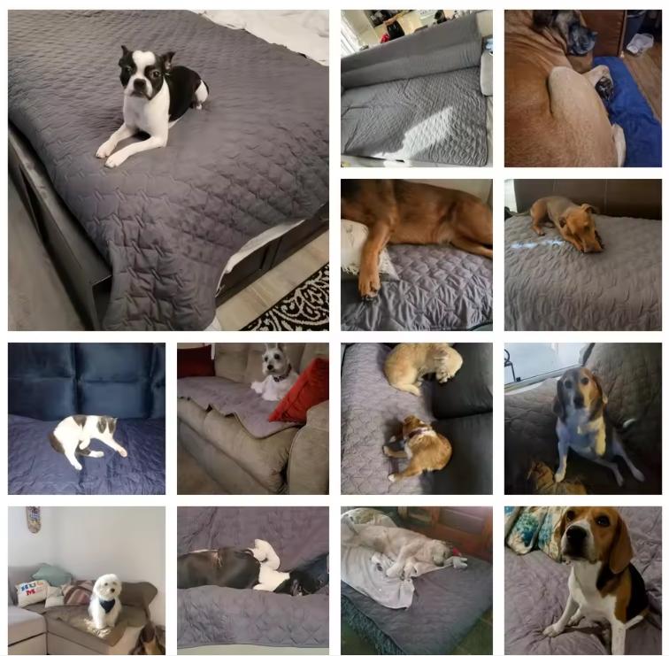 Double-Sided Waterproof Dog Bed Cover Pet Blanket Sofa Couch Furniture Protector For Dogs