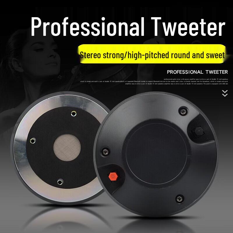 KAXISAIER Professional Passive Full-Range Speaker CN Plug (adapter Included)