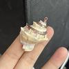 3Pcs, Natural Shell Conch Pendant, Ocean Style Irregular Charms for Jewelry Making DIY Necklace Accessories, Creative Home Decor Supplies
