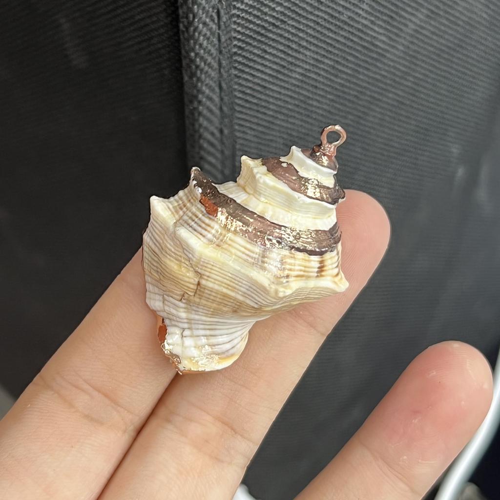 3Pcs, Natural Shell Conch Pendant, Ocean Style Irregular Charms for Jewelry Making DIY Necklace Accessories, Creative Home Decor Supplies