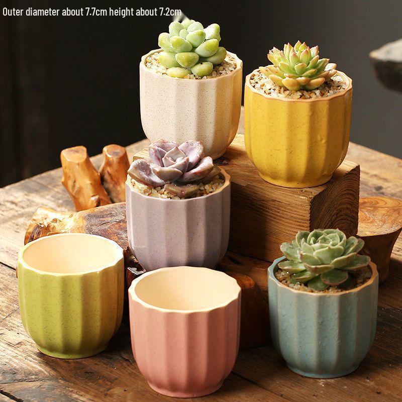 Breathable Ceramic Indoor Succulent Planter Set - Creative Small Flower Pots