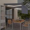 VidaXL Manual Retractable Awning with Awning and LED Folding Awning Garden Balcony Terrace Outdoor Protection Against Rays 3069421