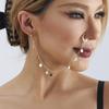 Ethnic Style Puncture Jewelry, Stud Earrings Chain, Nose Studs, Trendy and Cool, No Punching Disc, Fringed Nose Ring.