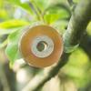 Nursery Grafting Tape PE Material Plant Care Plants