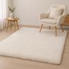 Super Soft Shaggy Area Rug, Non Slip Plush Washable Carpet for Living Room Bedroom Indoor Home Decor Bedside Floor Mat