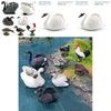 Bird Model Collection Featuring Greenheaded Duck And Gray Duck For Home Decor And Educational Use