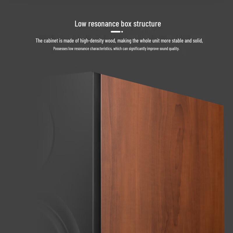 HiVi Bach Passive HiFi Bookshelf Speakers with Diva Stands CN Plug (adapter Included)