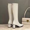 Women's High-heeled Boots Autumn and Winter New Thick-heeled Solid-color Large-size Simple Medium Boots