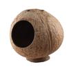 Bite Resistant Coconut Shell Hamster House Scratch-resistance Hamster Nest Toy  Chew Exercise