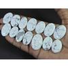 420Cts. Natural Howlite Oval Shape Cabachon Loose Gemstone 14 Pcs Lot C-2552