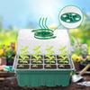 1/5 Packs of the Ideal Seed Starting Ensemble: Seedling Trays & Full Spectrum Plant Growth Lamps for a Flourishing Garden