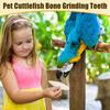 Cuddle Bone For Parakeet Natural Calcium For Parrots 4 Pieces Pet Birds Nutritional Supplementation Calcium For Cockatiels